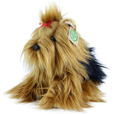 Rappa - Peluche de chien Yorkshire Terrier assis - Animaux en peluche